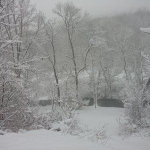 Meet your Posher, Pam